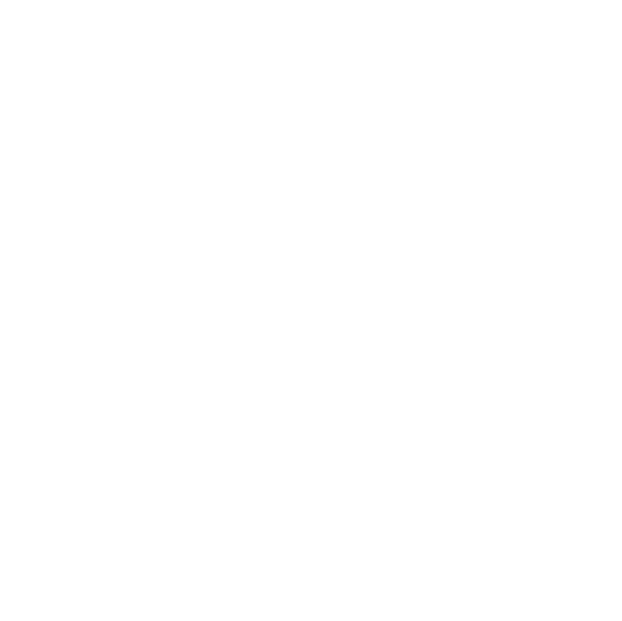united-states-map-icon
